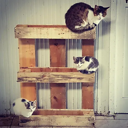 Le De La Ferme Du Tertre Feriehus Villers-au-Tertre