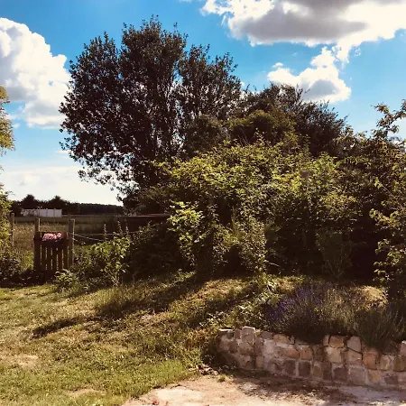 Le De La Ferme Du Tertre 別荘 *